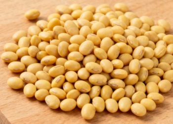 Advierten que importación sin arancel afectará el precio de la soya nacional