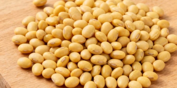Advierten que importación sin arancel afectará el precio de la soya nacional