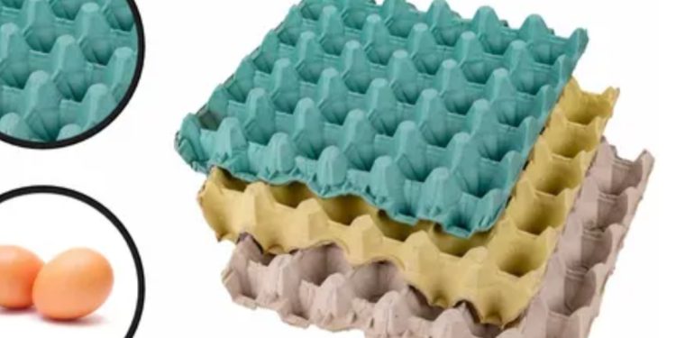 Operativo antidrogas descubre clorhidrato de cocaína escondido en vehículo