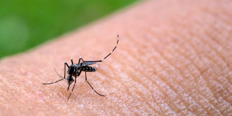 Creadora de contenido es arrestada luego de ingresar con un bate a una tienda para destruir televisores