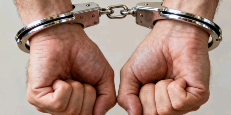 Creadora de contenido es arrestada luego de ingresar con un bate a una tienda para destruir televisores