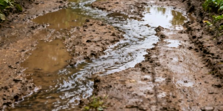 Rocas y tierra bloquean la vía Charazani–Apolo tras fuertes lluvias