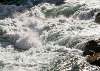 Marset contaba con varias cédulas y autoridades indagan posible red