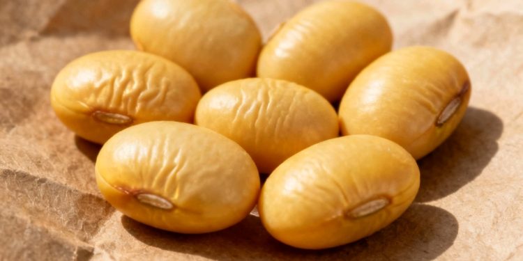 Investigan muerte de joven que cayó de un vehículo en plena vía