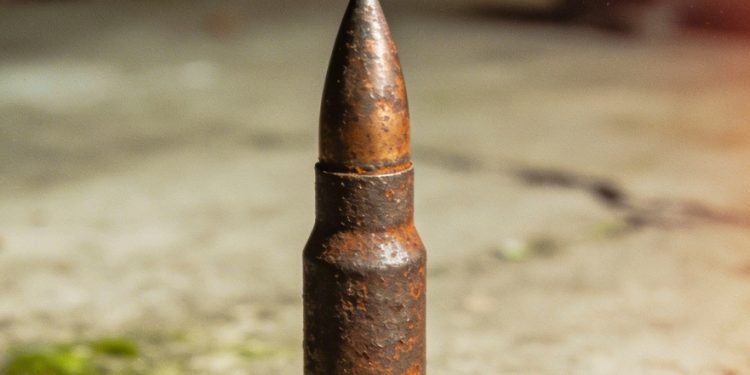 Apartan a efectivos policiales luego de operativos recientes en Santa Cruz