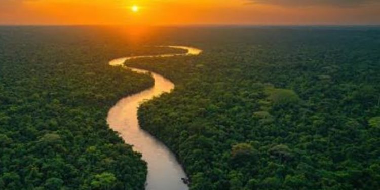 Ministerio de Trabajo confirma descanso por día conmemorativo