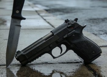 Confirman fallecimiento por hantavirus en área rural