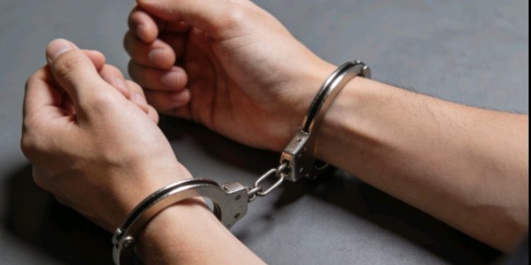 Operativo en Yucumo frustra intento de traslado de marihuana