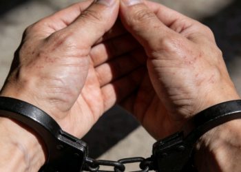 Operativo en Yucumo frustra intento de traslado de marihuana