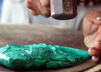 Crece la preocupación en Santa Cruz por casos de cáncer asociados al consumo de coca machucada