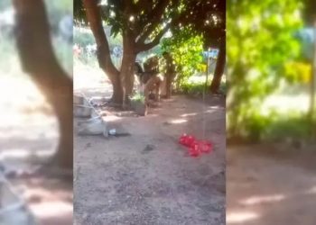 Violencia narco recrudece en frontera boliviana tras nuevo ataque de sicarios