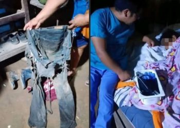 Con su perro y una escopeta: así sobrevivió un adolescente en la selva paceña